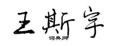 曾庆福王斯宇行书个性签名怎么写