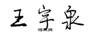 曾庆福王宇泉行书个性签名怎么写