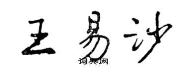 曾庆福王易沙行书个性签名怎么写