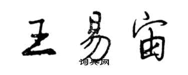 曾庆福王易宙行书个性签名怎么写