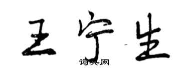 曾庆福王宁生行书个性签名怎么写