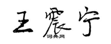 曾庆福王震宁行书个性签名怎么写