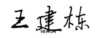 曾庆福王建栋行书个性签名怎么写