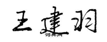 曾庆福王建羽行书个性签名怎么写