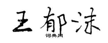 曾庆福王郁沫行书个性签名怎么写