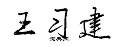 曾庆福王习建行书个性签名怎么写