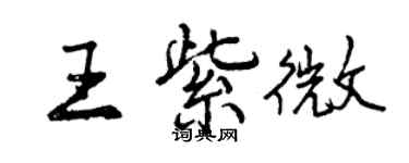 曾庆福王紫微行书个性签名怎么写