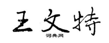 曾庆福王文特行书个性签名怎么写