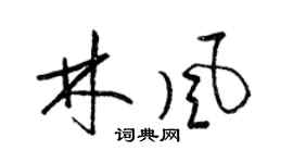 梁锦英林风草书个性签名怎么写