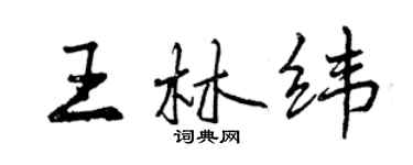 曾庆福王林纬行书个性签名怎么写