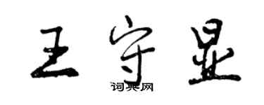 曾庆福王守显行书个性签名怎么写