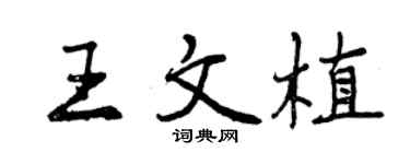曾庆福王文植行书个性签名怎么写