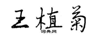 曾庆福王植菊行书个性签名怎么写