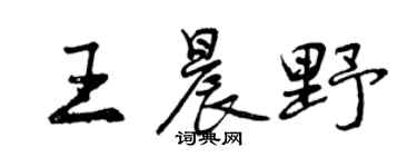 曾庆福王晨野行书个性签名怎么写