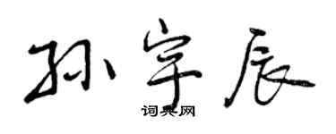 曾庆福孙宇辰行书个性签名怎么写