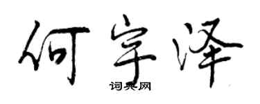 曾庆福何宇泽行书个性签名怎么写