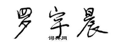 曾庆福罗宇晨行书个性签名怎么写