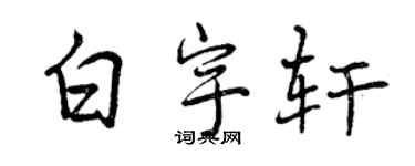 曾庆福白宇轩行书个性签名怎么写