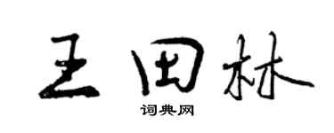 曾庆福王田林行书个性签名怎么写