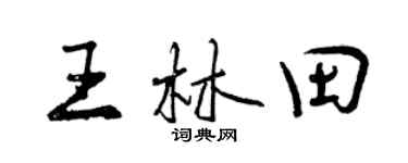 曾庆福王林田行书个性签名怎么写