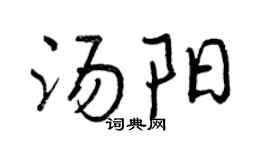 曾庆福汤阳行书个性签名怎么写