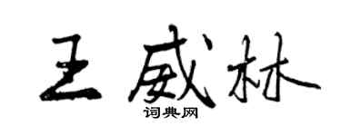 曾庆福王威林行书个性签名怎么写