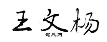 曾庆福王文杨行书个性签名怎么写