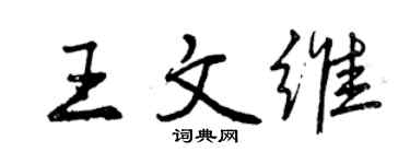曾庆福王文维行书个性签名怎么写