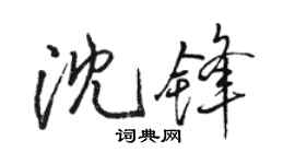 骆恒光沈锋行书个性签名怎么写