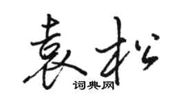 骆恒光袁松行书个性签名怎么写