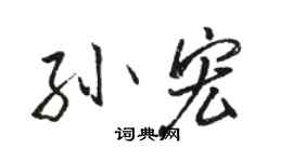 骆恒光孙宏行书个性签名怎么写