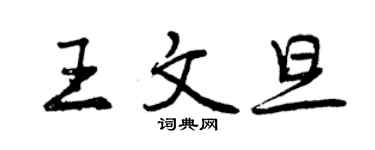 曾庆福王文旦行书个性签名怎么写