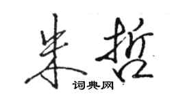 骆恒光朱哲行书个性签名怎么写