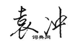 骆恒光袁冲行书个性签名怎么写