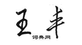 骆恒光王丰行书个性签名怎么写
