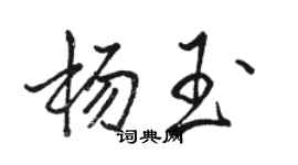 骆恒光杨玉行书个性签名怎么写