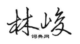骆恒光林峻行书个性签名怎么写