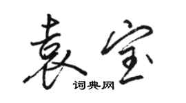 骆恒光袁宝行书个性签名怎么写