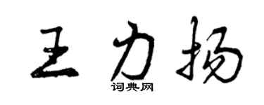 曾庆福王力扬行书个性签名怎么写