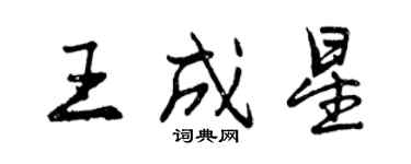 曾庆福王成星行书个性签名怎么写