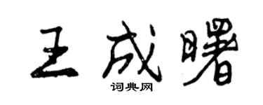 曾庆福王成曙行书个性签名怎么写