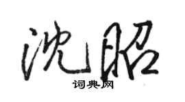 骆恒光沈昭行书个性签名怎么写