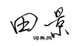 骆恒光田景行书个性签名怎么写