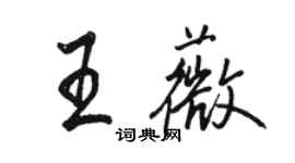 骆恒光王薇行书个性签名怎么写