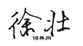 骆恒光徐壮行书个性签名怎么写