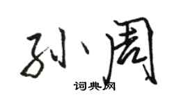骆恒光孙周行书个性签名怎么写
