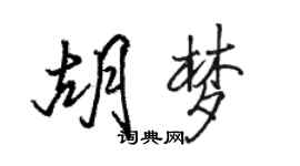 骆恒光胡梦行书个性签名怎么写