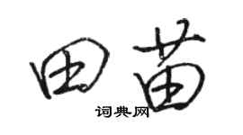 骆恒光田苗行书个性签名怎么写