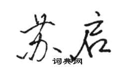 骆恒光苏启行书个性签名怎么写