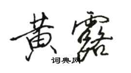 骆恒光黄露行书个性签名怎么写